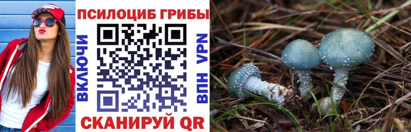 Псилоцибиновые грибы MAGIC MUSHROOMS  Петровск-Забайкальский 